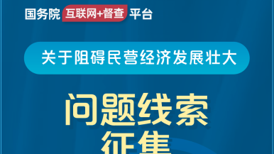 肉棒插入小穴视频免费观看国务院“互联网+督查”平台公开征集阻碍民营经济发展壮大问题线索